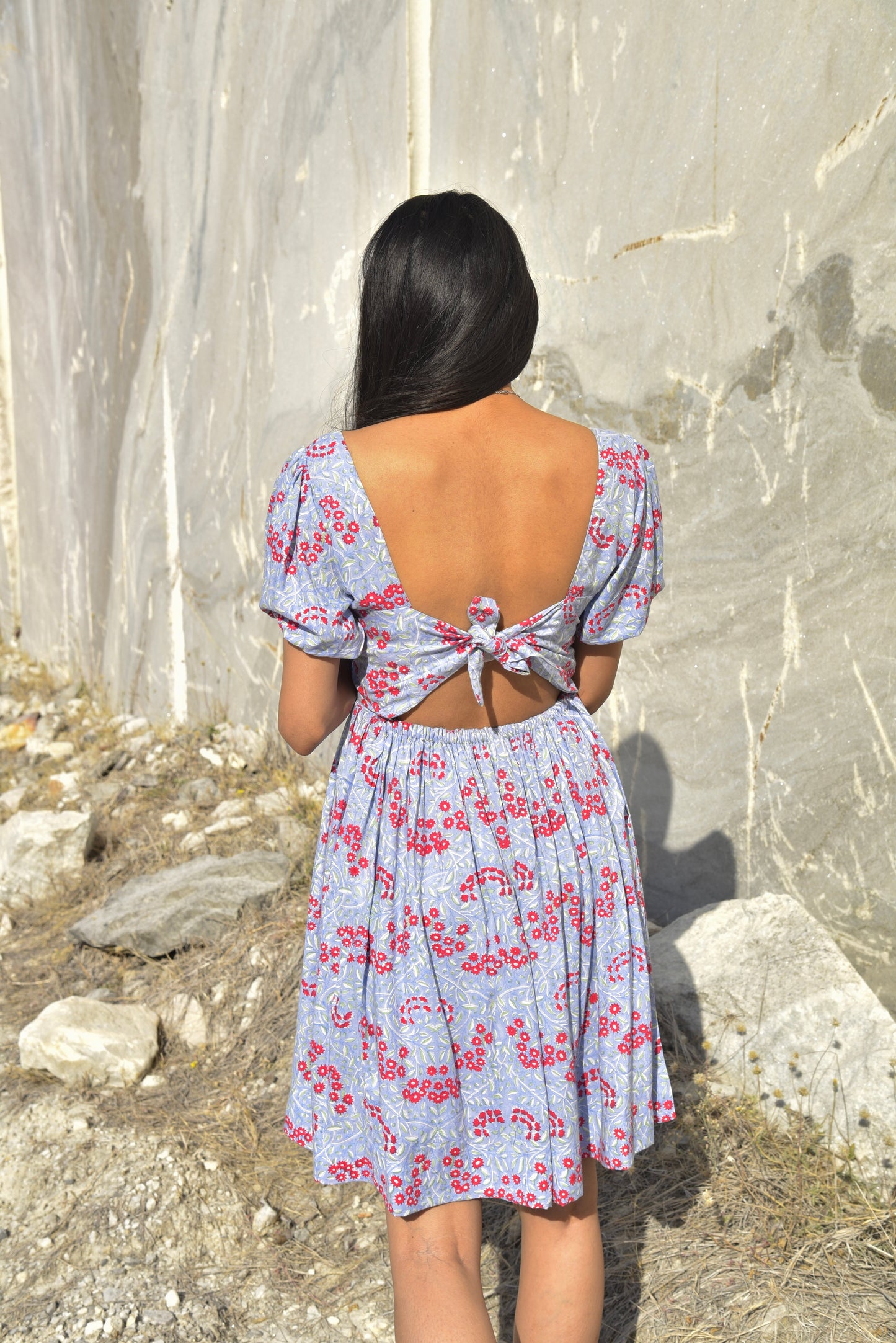 Mirai Dress - Fit and Flare Blue Floral Print Dress