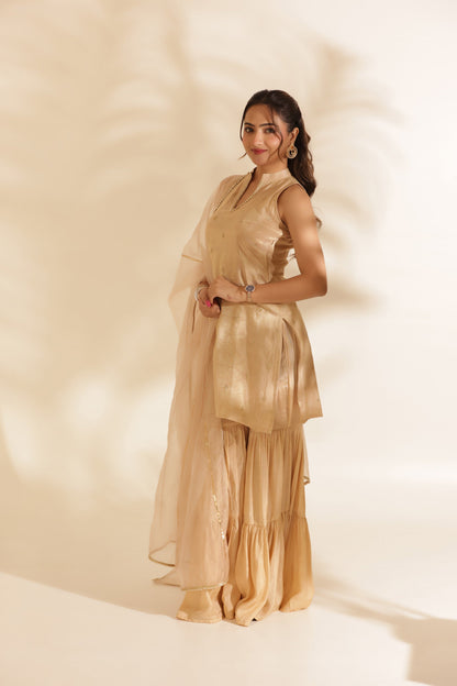 NOOR EMBROIDERED SILK SHARARA SET