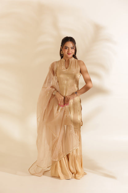 NOOR EMBROIDERED SILK SHARARA SET