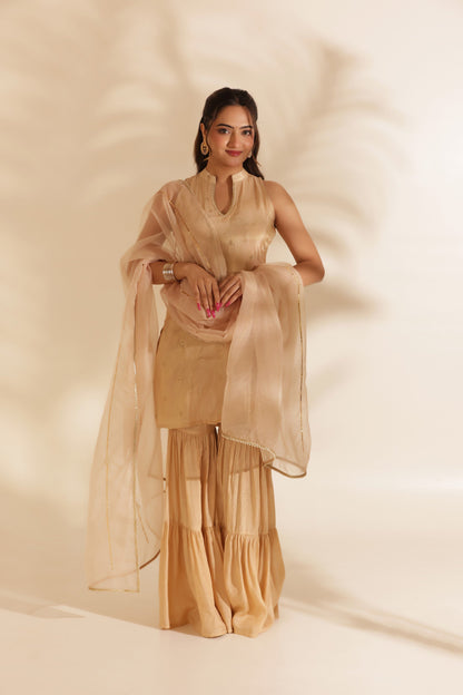 NOOR EMBROIDERED SILK SHARARA SET