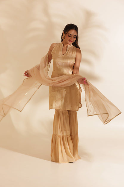 NOOR EMBROIDERED SILK SHARARA SET