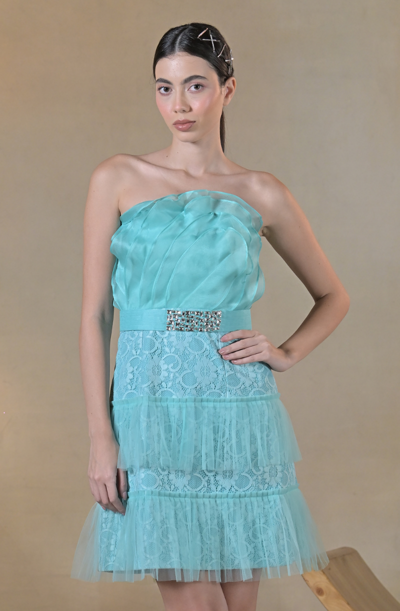 Baby Blue Ruffle Organza Dress