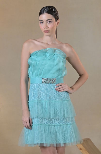Baby Blue Ruffle Organza Dress