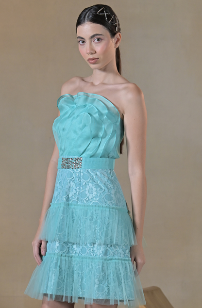 Baby Blue Ruffle Organza Dress