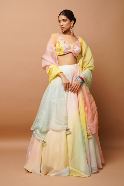 Rainbow Hand Painted Lehenga Set Image 1
