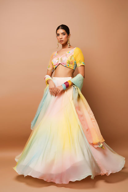 Rainbow Hand Painted Lehenga Set Image 2