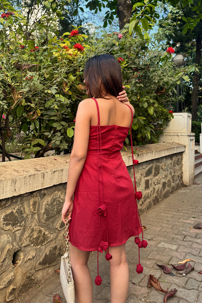 Scarlet Rose Mini Dress