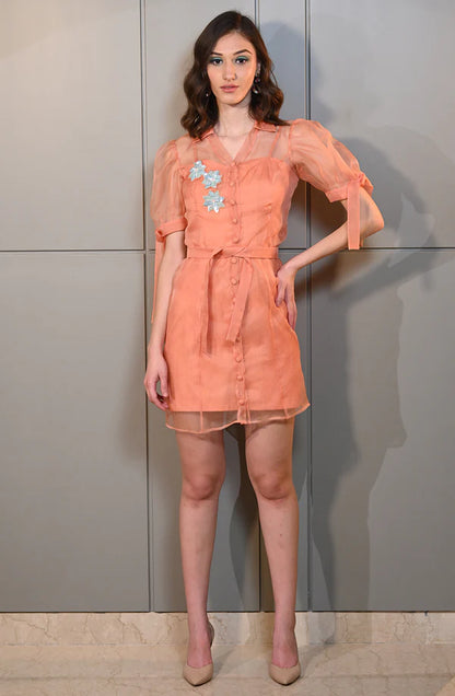 Coral Orange Embroidered Organza Dress