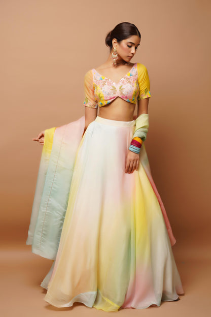 Rainbow Hand Painted Lehenga Set Image 3