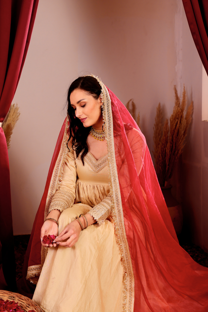 AMINA ANARKALI SET