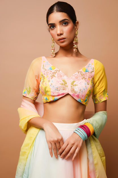 Rainbow Hand Painted Lehenga Set Image 5