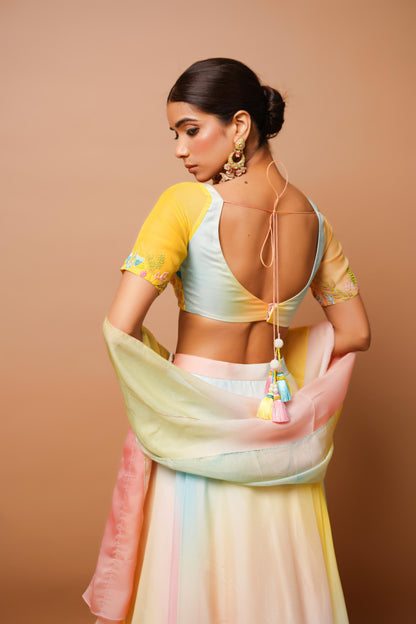 Rainbow Hand Painted Lehenga Set Image 6