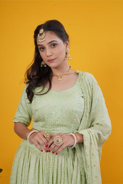Pastel Sage Chikankari Lehenga Set