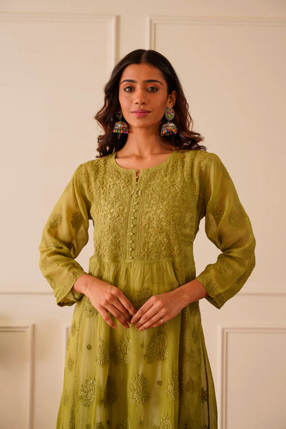 Enamoring Light Olive Organza Aline Kurti