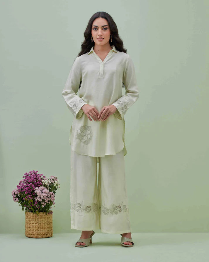 Light Green Applique Embroidered Co-ord Set