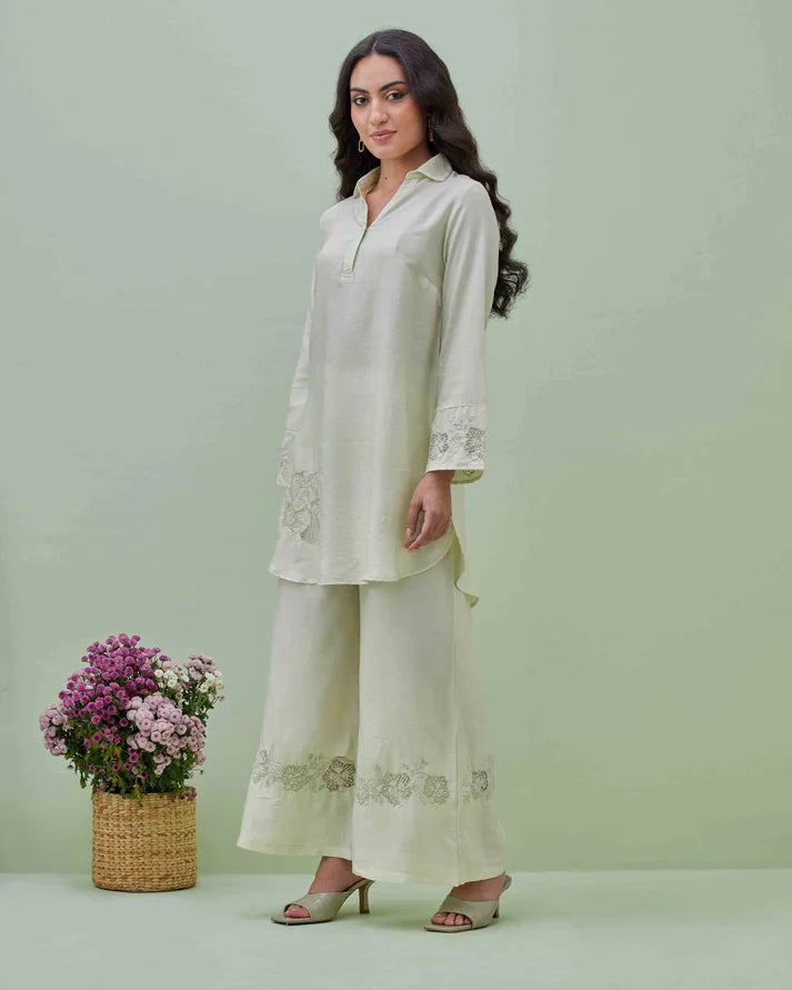 Light Green Applique Embroidered Co-ord Set