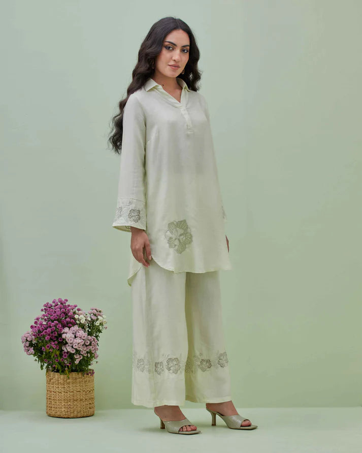 Light Green Applique Embroidered Co-ord Set