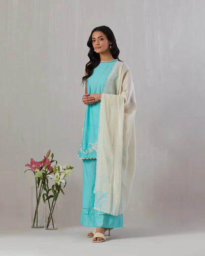 A line Kurta with flared pants