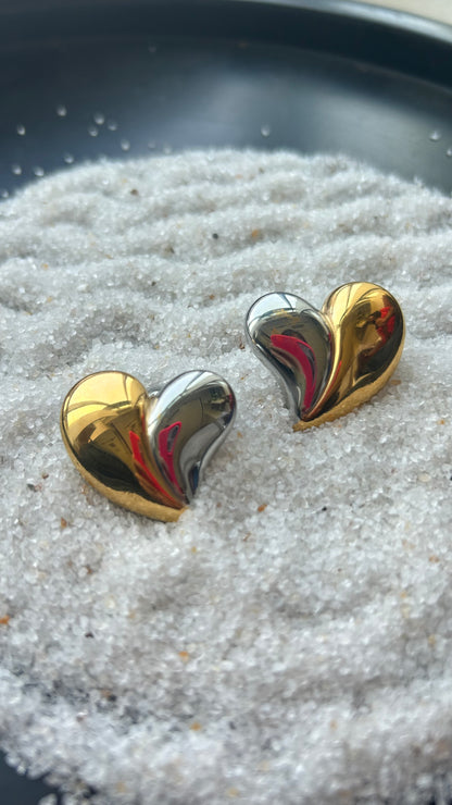 Silver Gold Heart Earrings