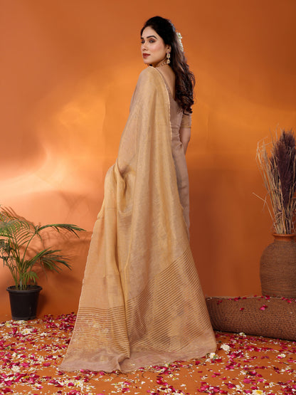 Shakuntala tissue saree with embroidered blouse