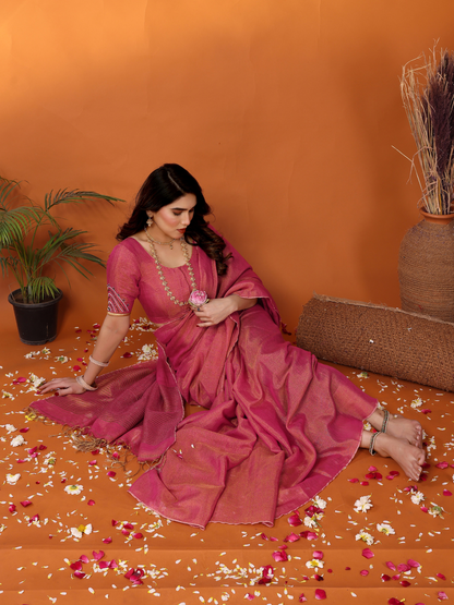 Padmani tissue saree with embroidered blouse